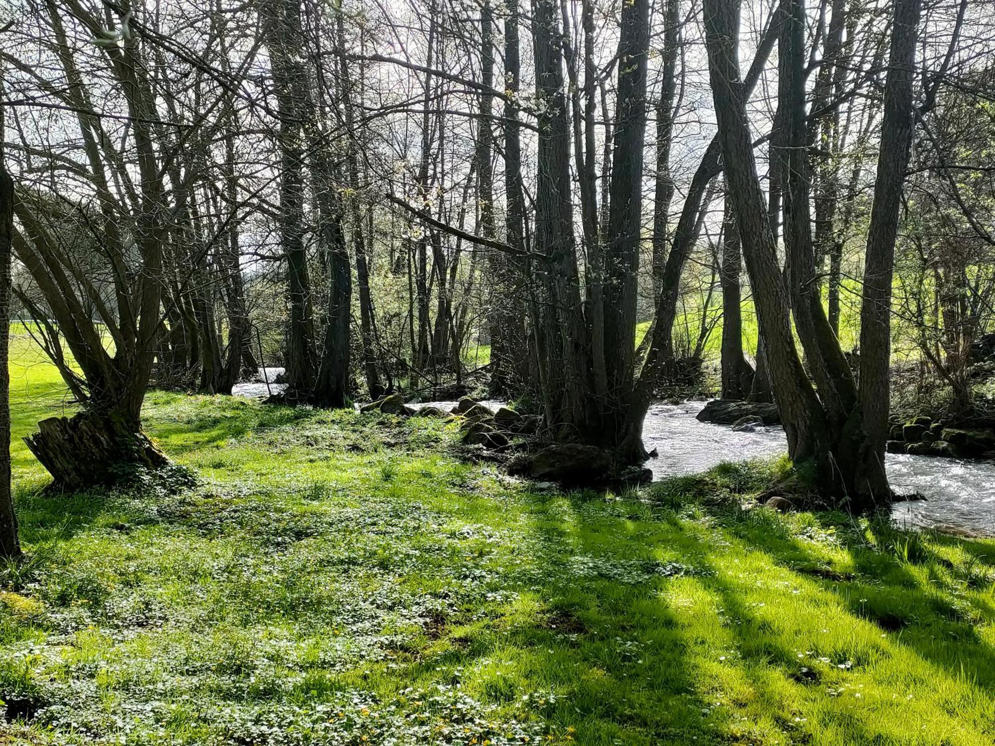 Wind In Den Weiden, Uebernachten Am Bachlauf Birstein ภายนอก รูปภาพ