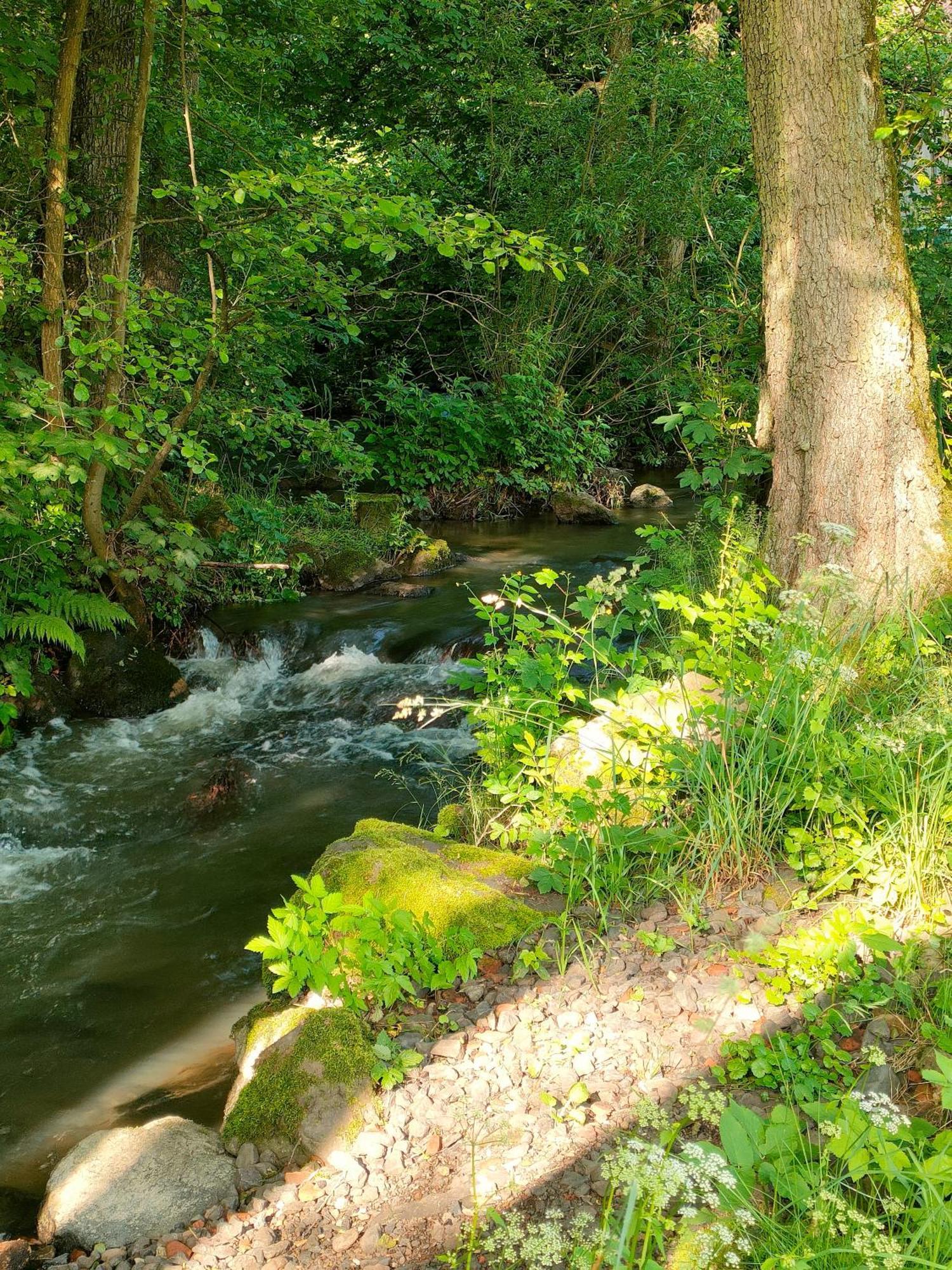 Wind In Den Weiden, Uebernachten Am Bachlauf Birstein ภายนอก รูปภาพ